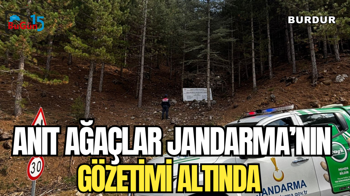 ANIT AĞAÇLAR JANDARMA’NIN GÖZETİMİ ALTINDA