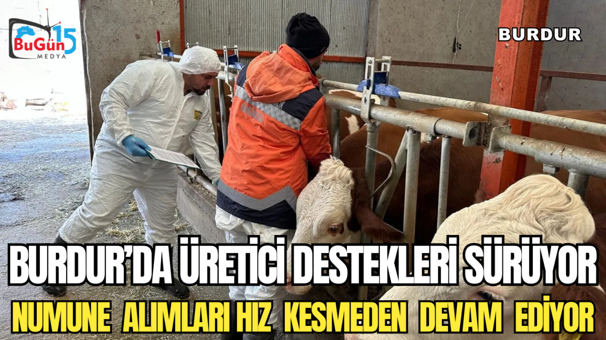 BURDUR'DA ÜRETİCİ DESTEKLERİ SÜRÜYOR NUMUNE ALIMLARI HIZ KESMEDEN DEVAM EDİYOR