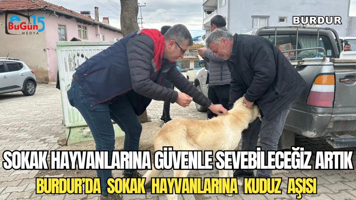 SOKAK HAYVANLARINA GÜVENLE SEVEBİLECEĞİZ ARTIK